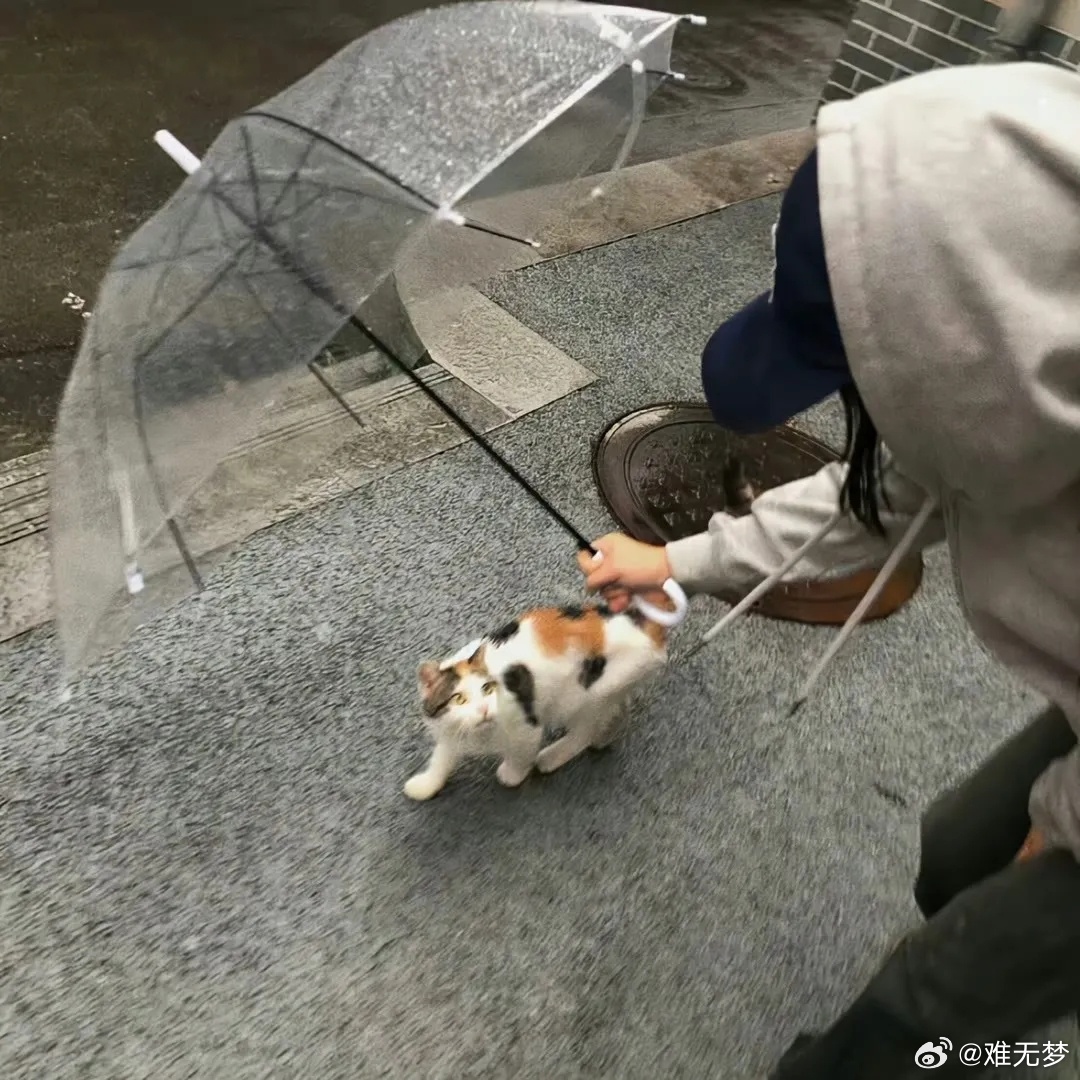 成长是件非常痛苦的事情，你不一定得到什么，但你一定会失去一些东西。 ​​​