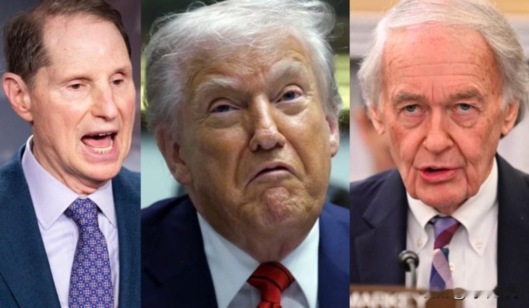 ❗️ 突发新闻：特朗普的噩梦刚刚开始
      民主党人公布立法，迫使他退还此