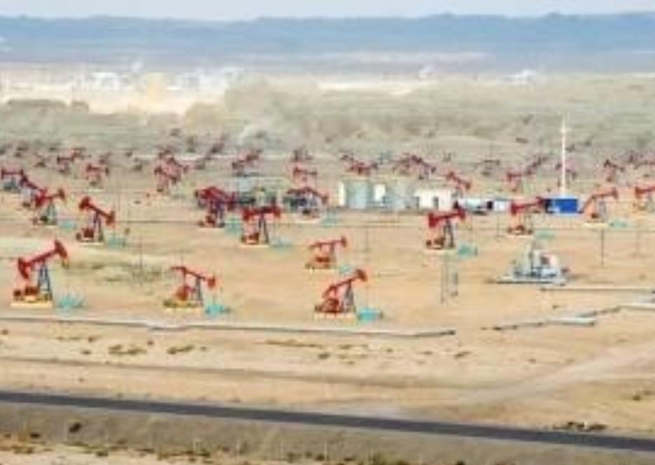 “这回中国可要栽个大跟头，把本全赔光了！”面对中国斥巨资买下卡沙甘油田的独家开采