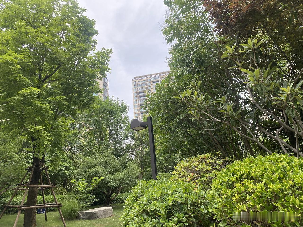 真心话茶局城市绿洲如画，静享自然之美