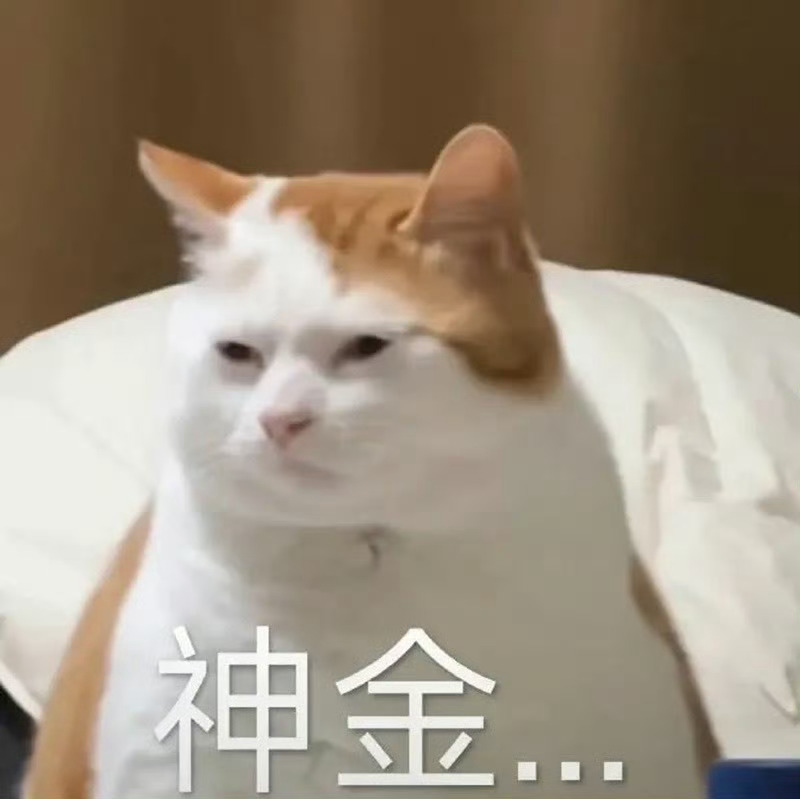 其实我真的不理解那些偷拍的男人，请问人家上厕所有什么好偷拍的？你们是有什么癖好喜