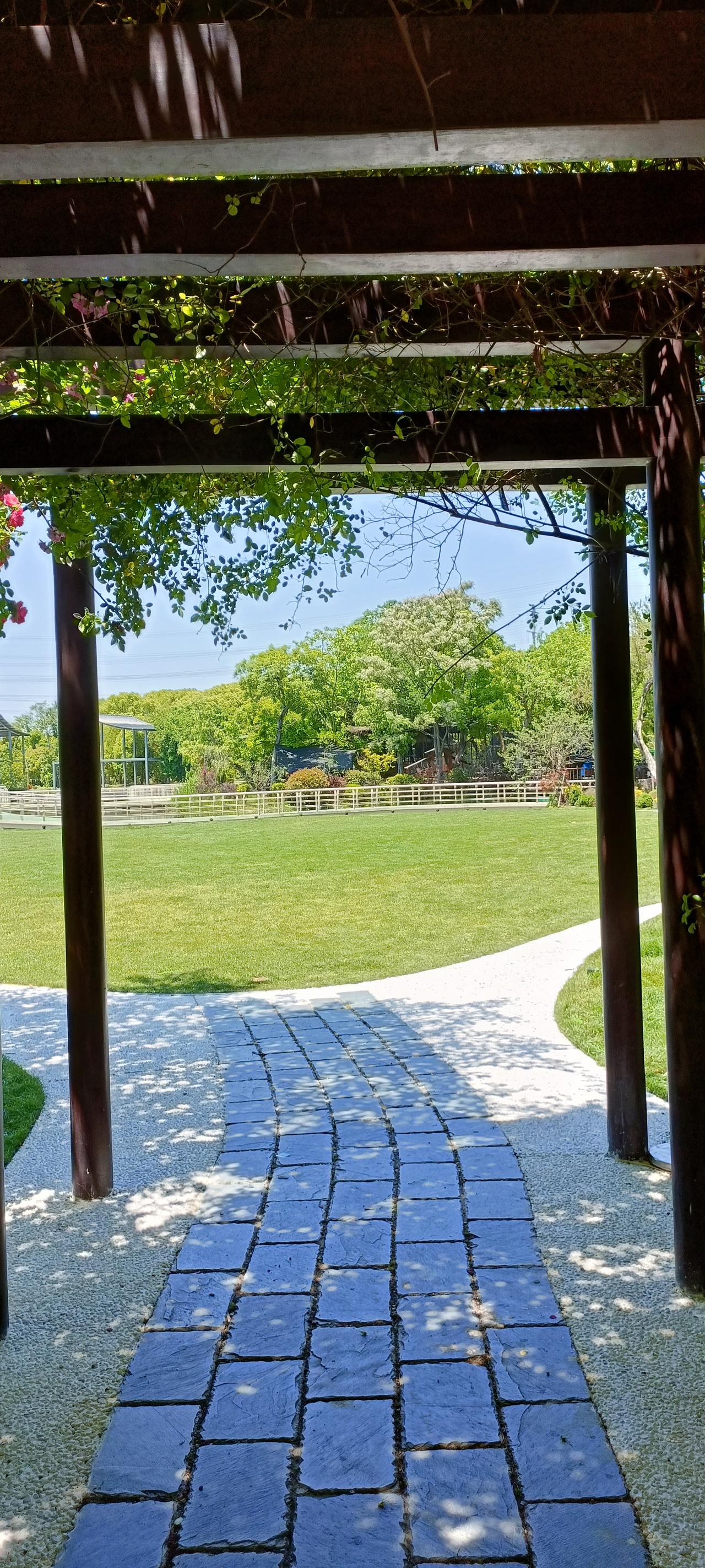 绿意盎然的公园小径，静享自然之美。🌿🍃🌳
上联:绿树荫中见，
下联:小径入
