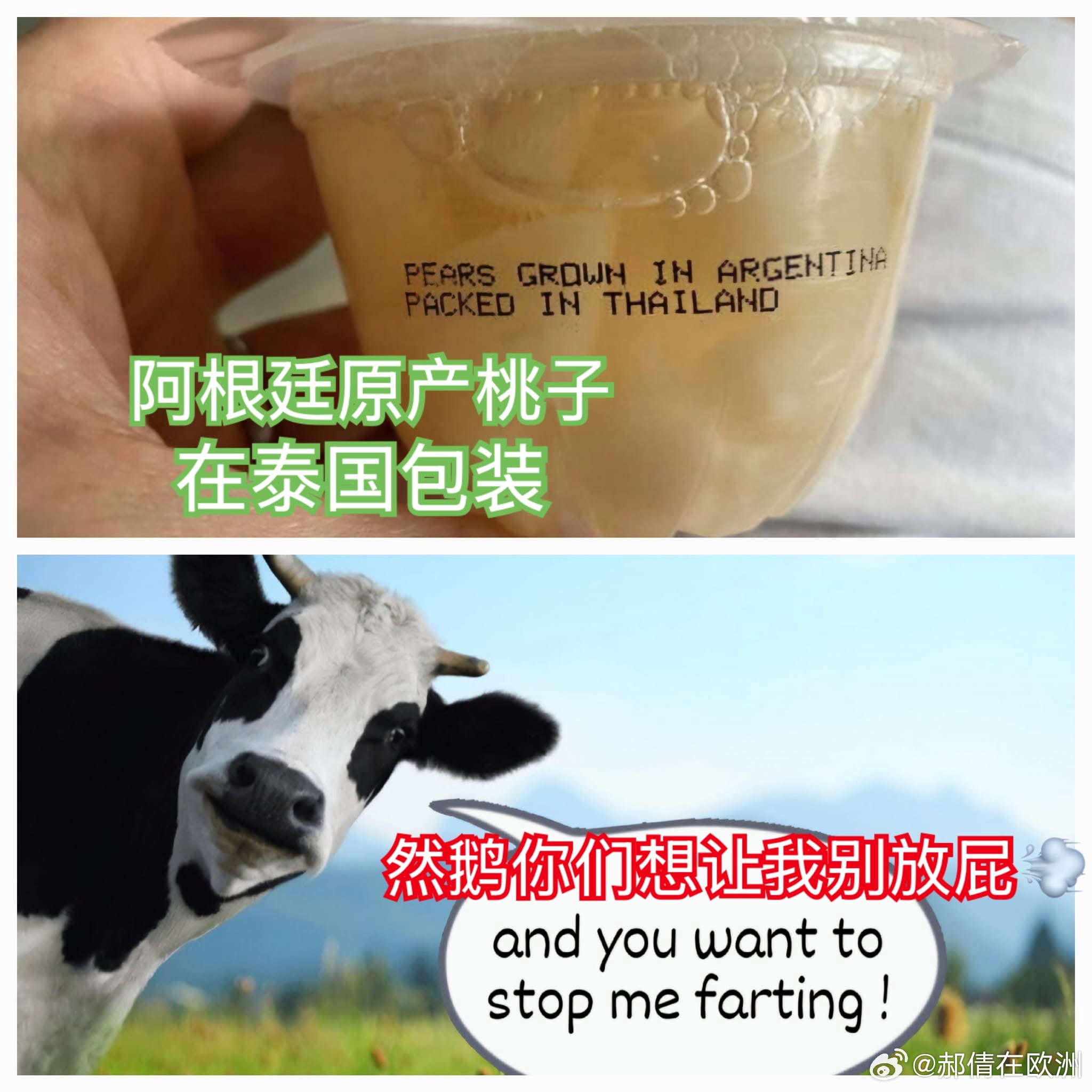 很难评… 