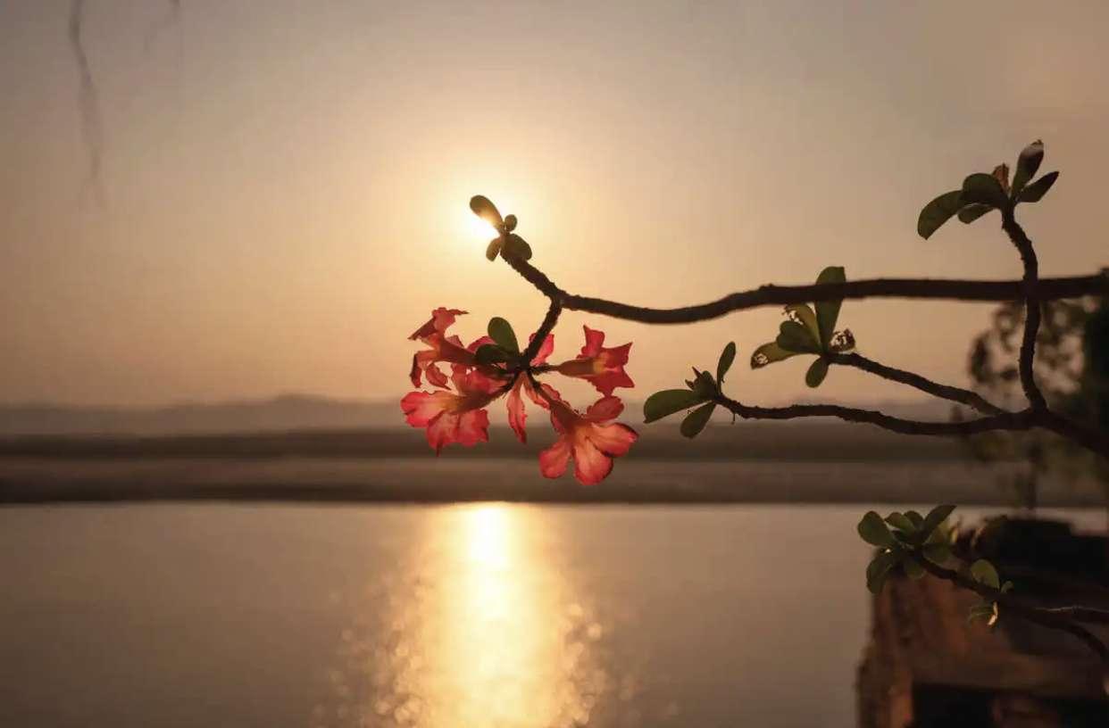 胡子眉毛全白了，还能说年轻吗？