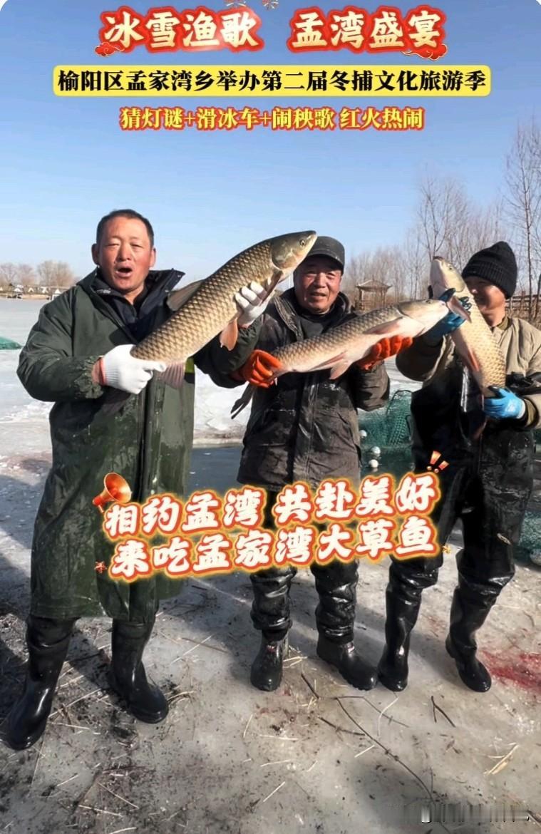 家人们快看！榆林孟家湾乡冬捕节出“乌龙”啦🤣 刷快手刷到个视频，说在办“第二届