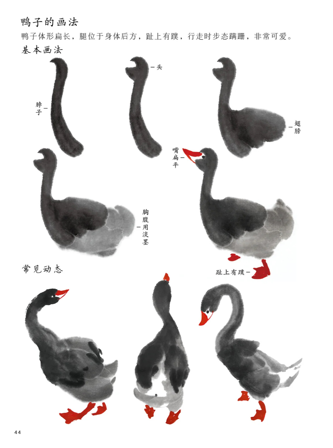 国画鸭子的画法，一起来学画画吧！🦆#漫视界企划##手绘##二次元# ​​​
