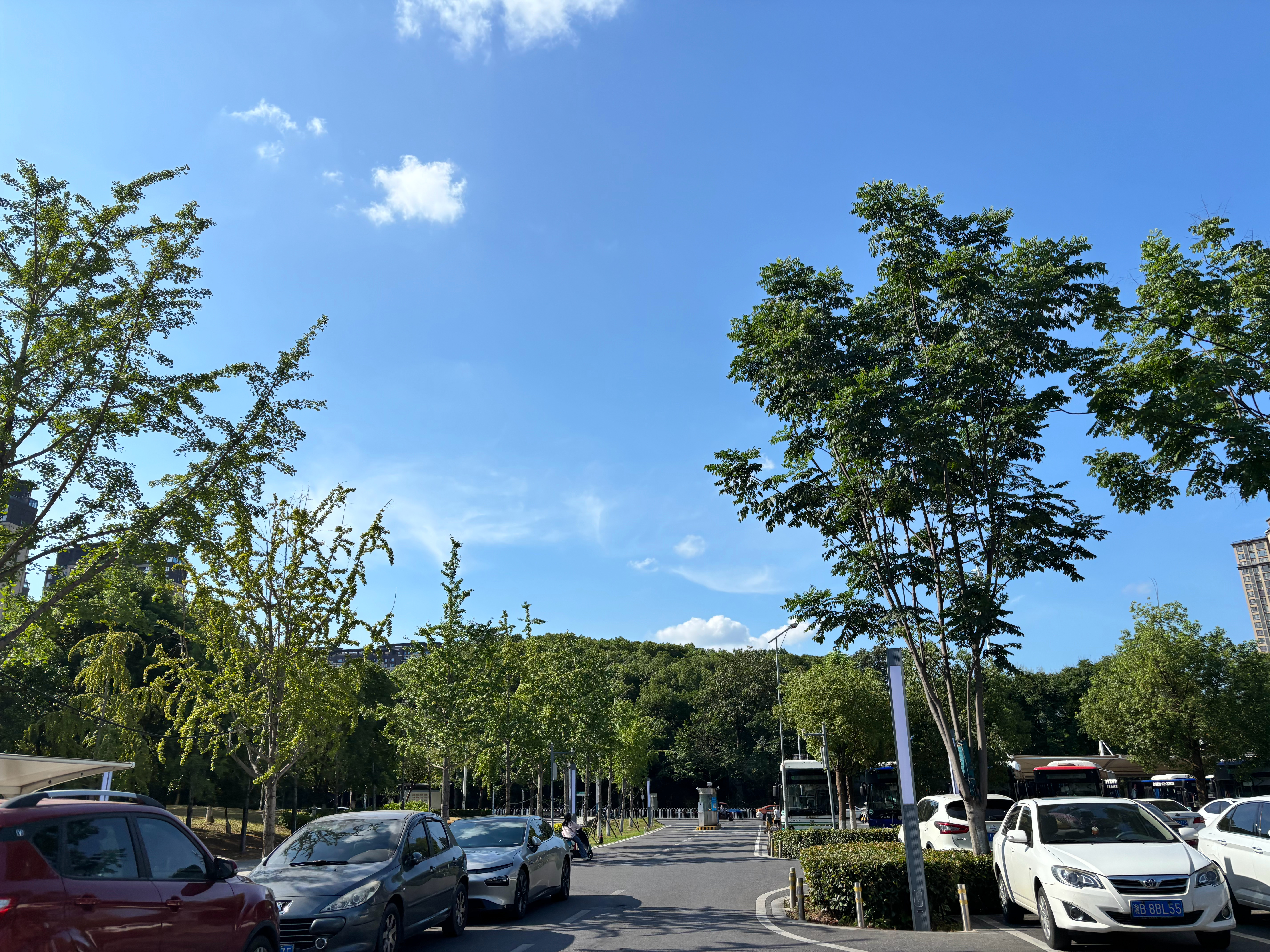今日湖南的天 飞飞感受过了