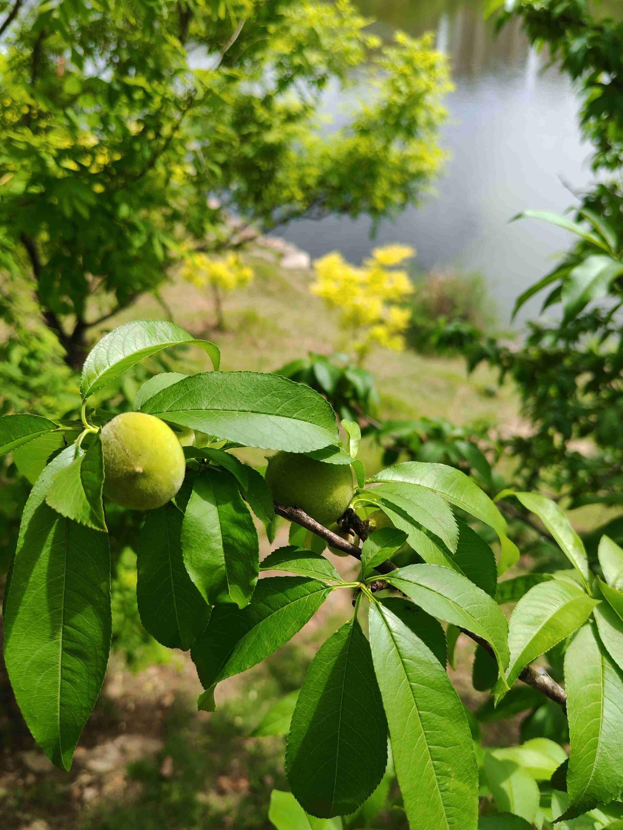 我的今日状态：💰期待暴富
我这里的天气：🌧下雨

今天是5月14日，星期四，