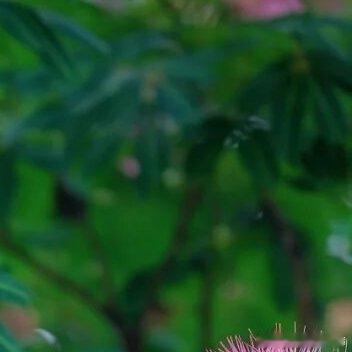 每日一善🍅 阳光信用 每日‎一善 时光会慢慢老去，风景会四季更迭，但被落日收藏