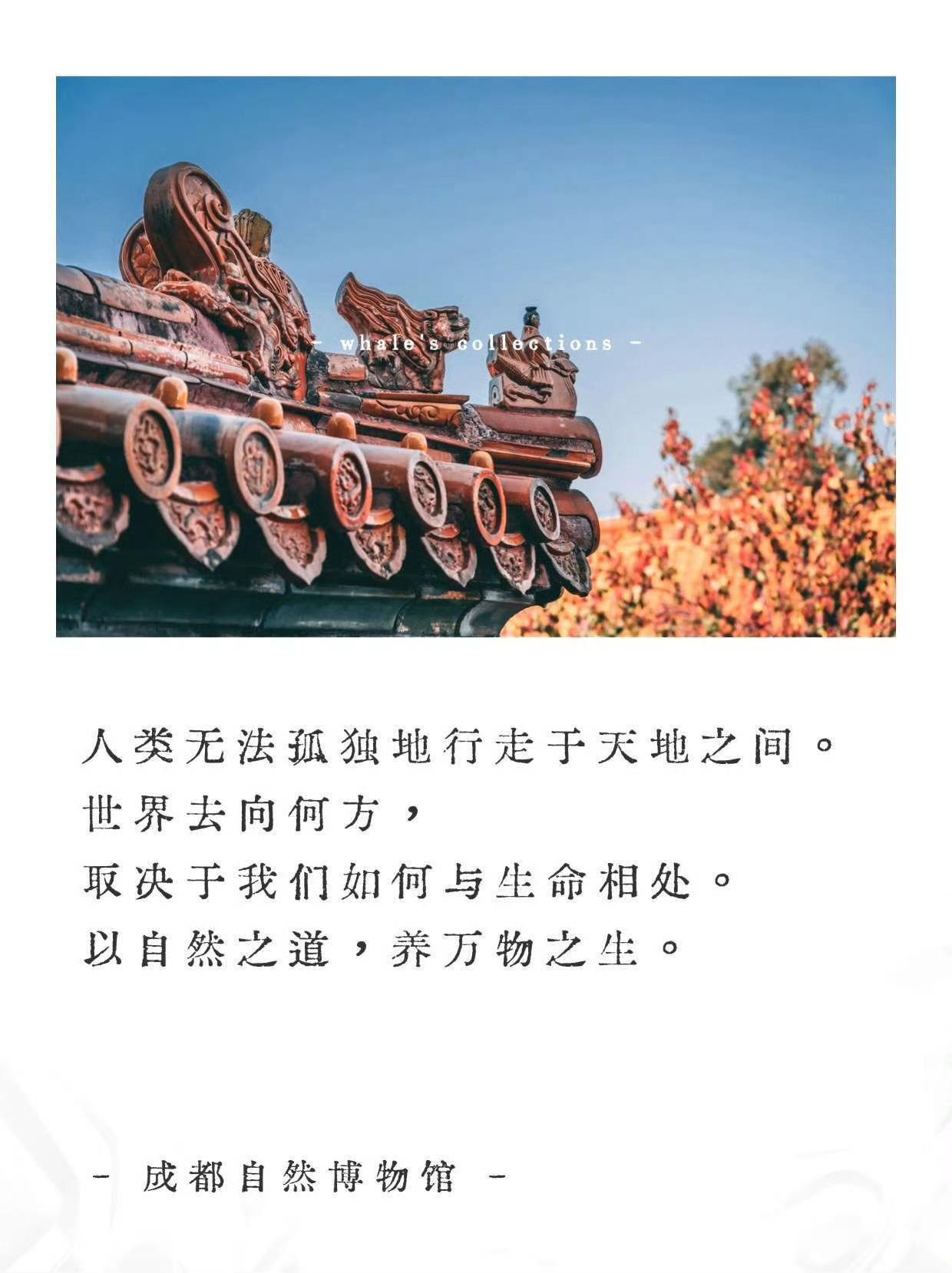 一些博物馆里的经典语句...
