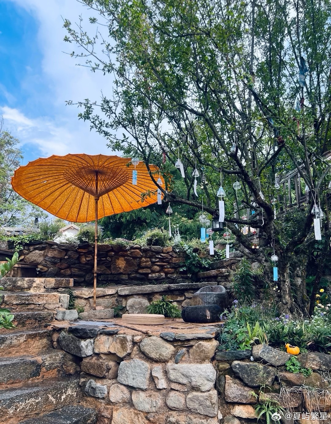 读书陪伴我成长我的私人宝藏书单书评 让世界拥有它的脚步，让我保有我的茧夜里十一点