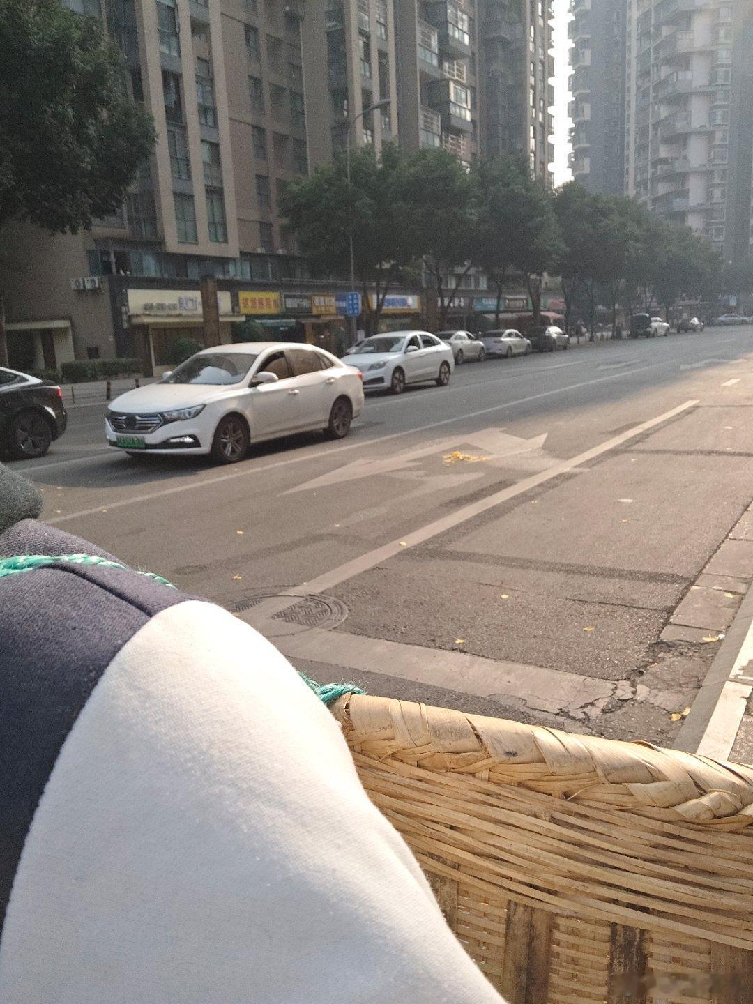 一出太阳就宅不住，有人钓鱼，有人种菜，有人头上顶只鹦鹉骑车，有人遛狗，我背个背篓