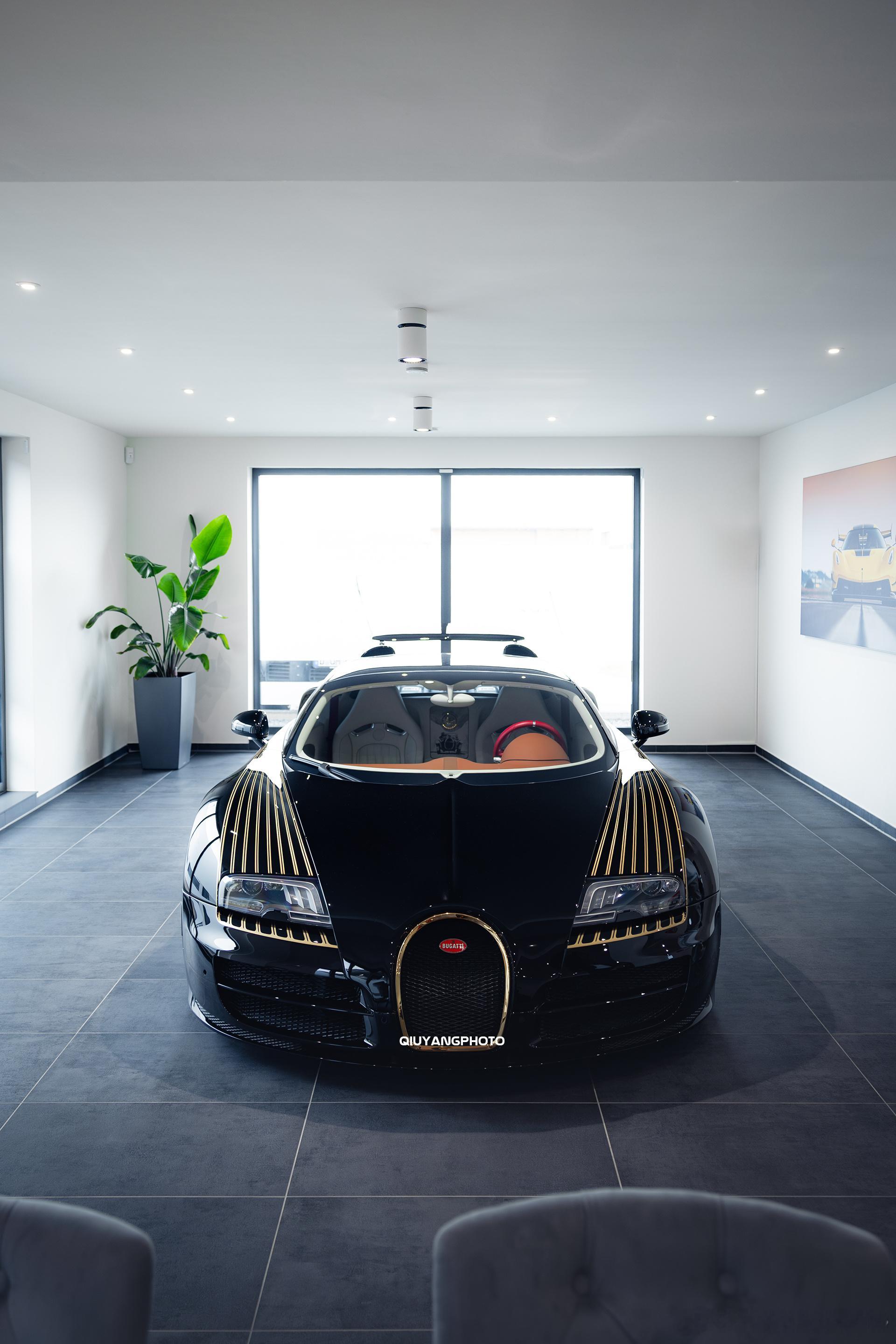 Bugatti Veyron Vitesse “BLACK BESS” cars