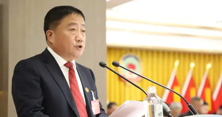陈占营，主动投案