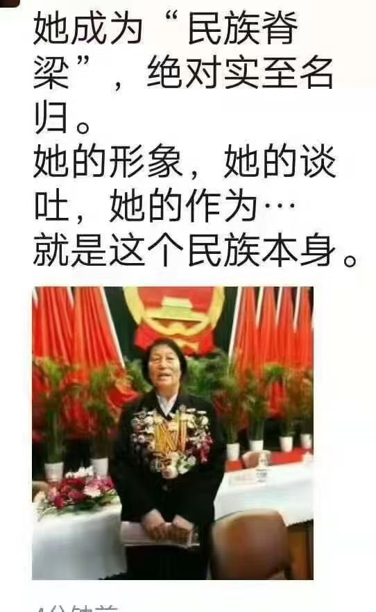 她是民族代言人，从没投过反对票 