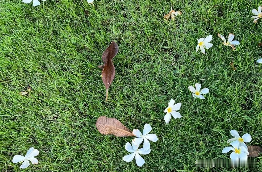 ❤️孟母三迁，父母非常重视的一个环节
孟母三迁的故事应该大家都听过，主要也是讲环