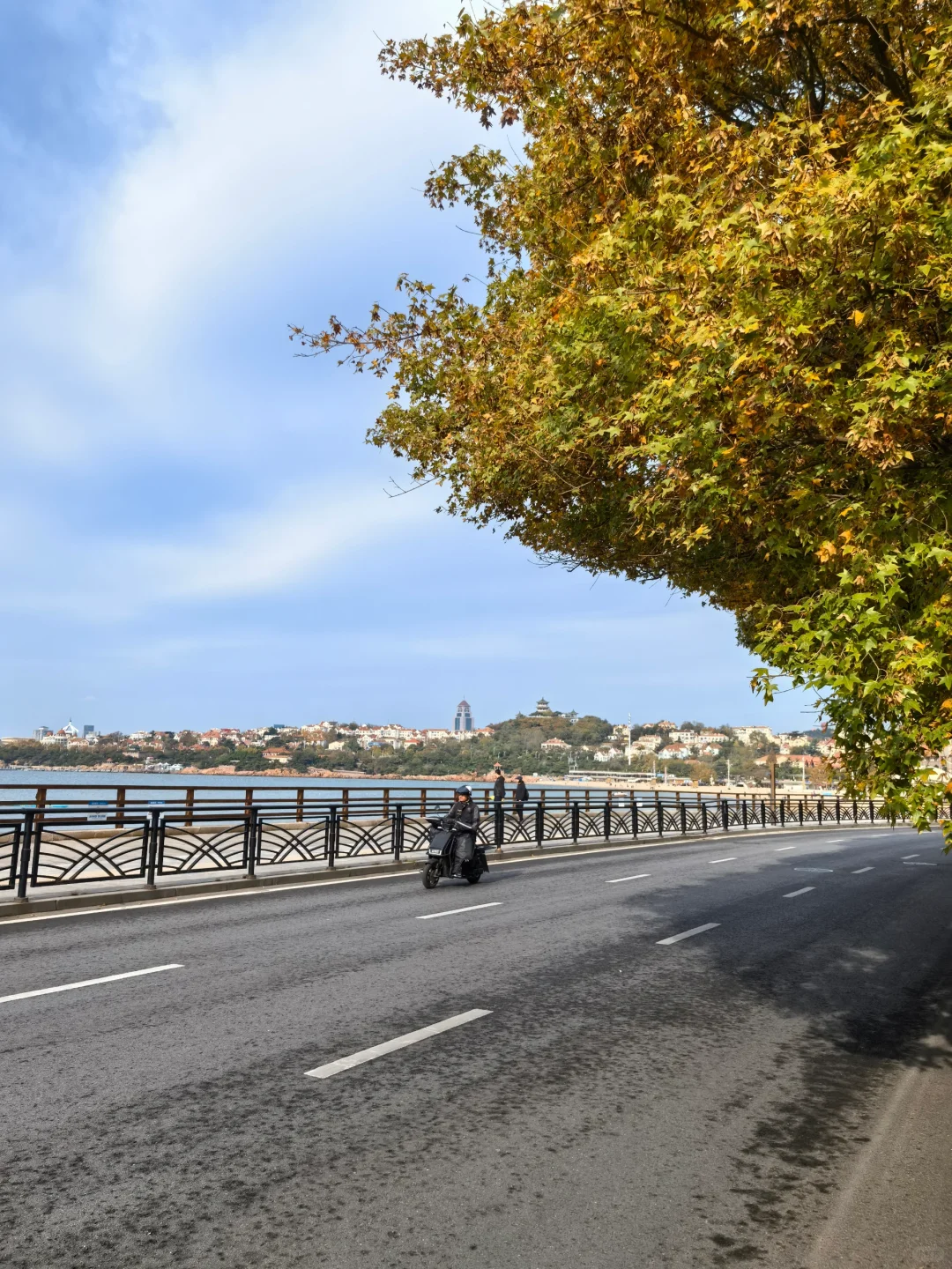 11.9青岛街头实况 温暖的多云天气