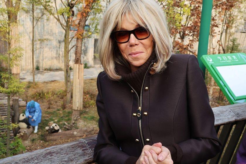 这次法国总统夫妻访华，总统夫人布丽吉特特意来看了“圆梦”，当年送别的时候依依不舍