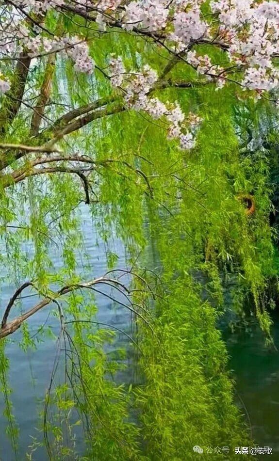 上联:未忘梅香春不觉
下联:初临柳色燕先知
横批:鸟语花香