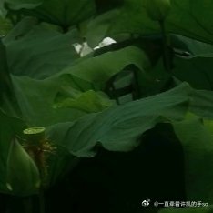 阳光信用 每日一善 善待别人，是一种优秀的品德，善待自己，是一种优雅的力量。顺境