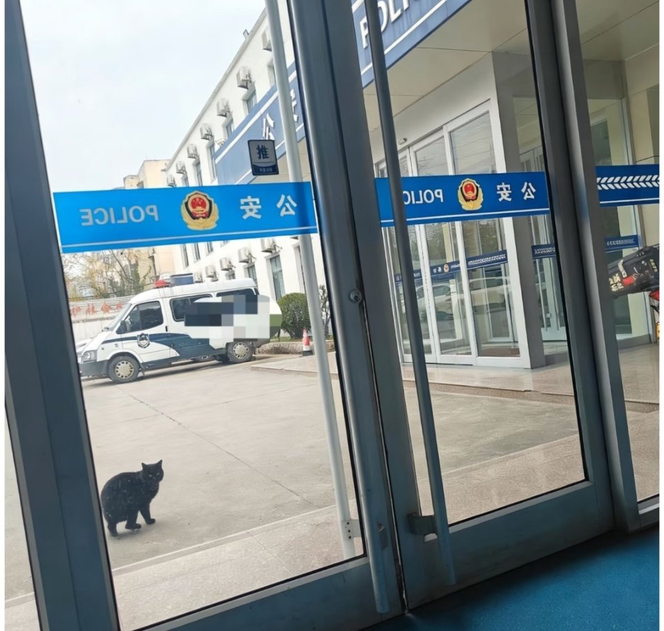 一个星期看到它三回，有啥事倒是说啊 