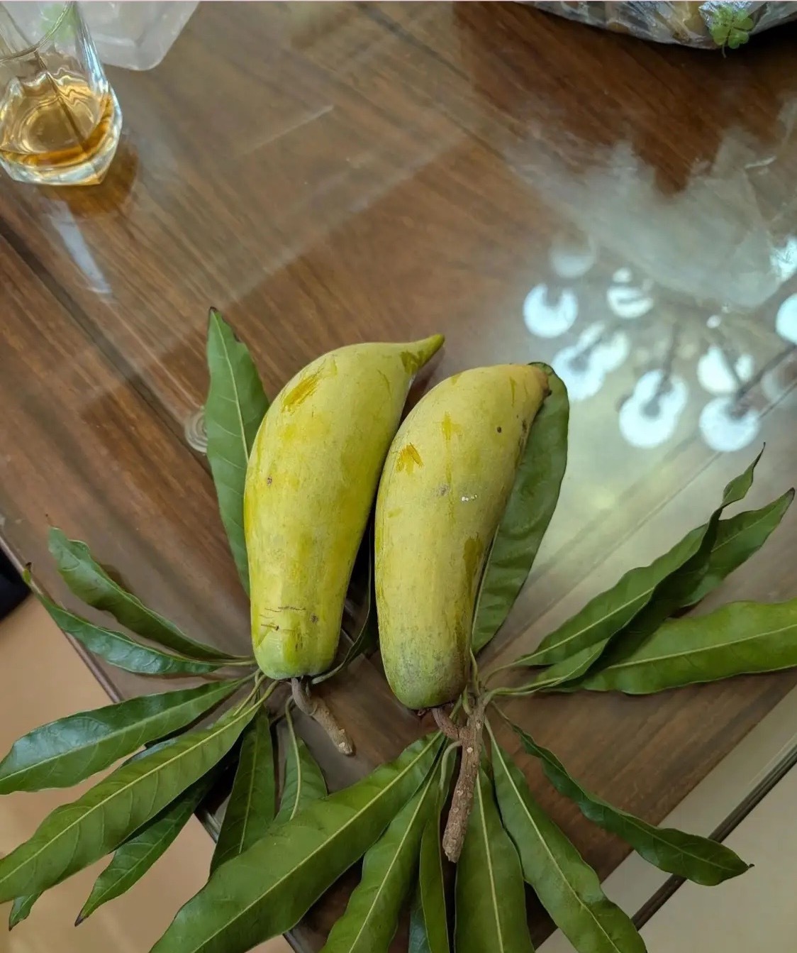 今天邻居给了两个水果，第一眼我还以为是芒果呢？你们可以猜得出来是什么水果吗？ 