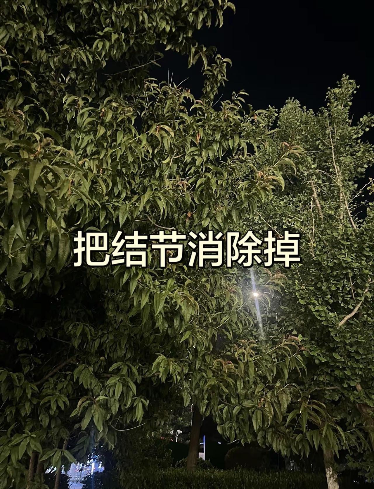 国乒男女团双双夺冠，3:2逆转日本、3:0横扫日本，这就是中国乒乓的统治力！国乒