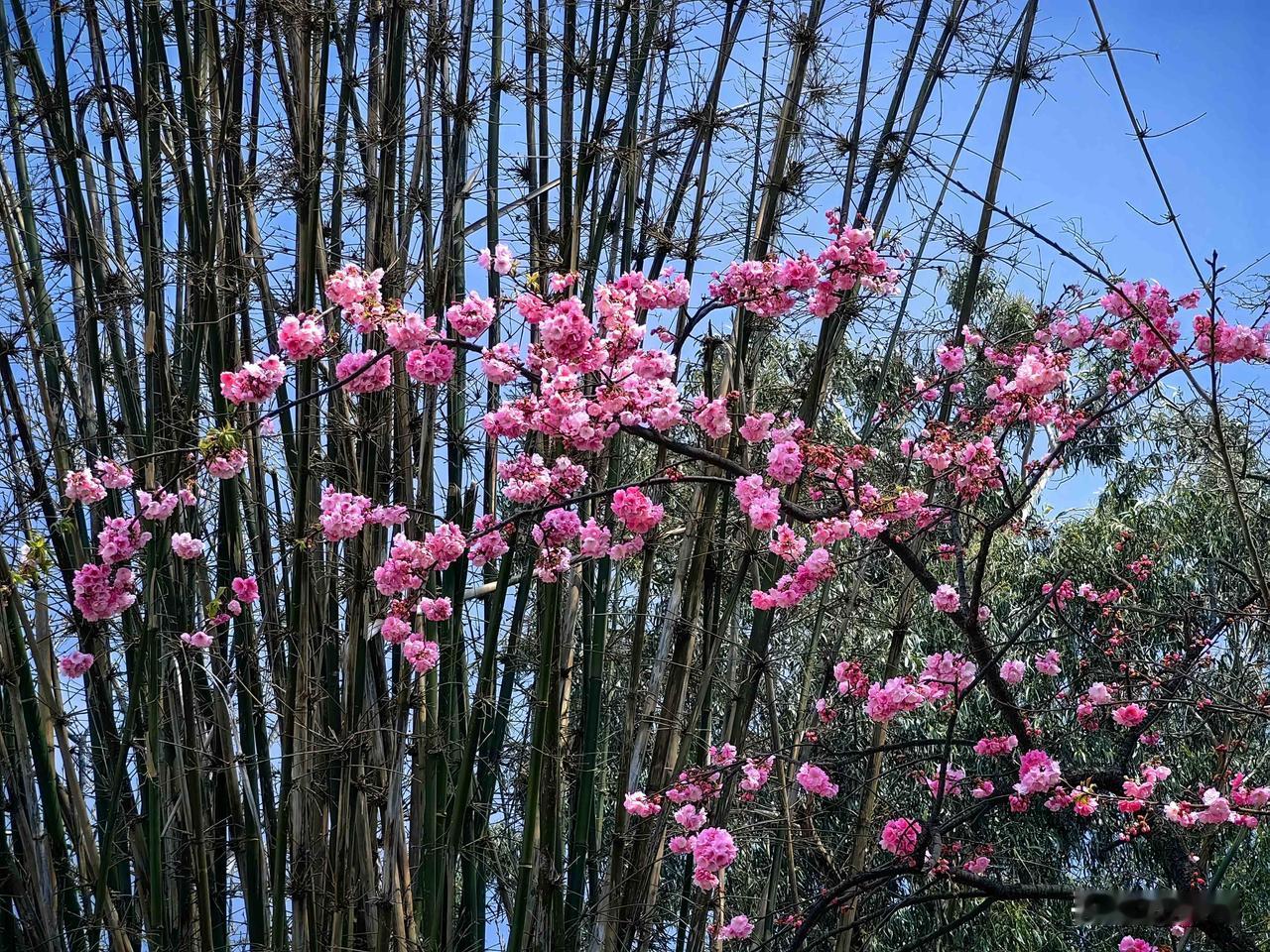 友友们，咱们退休以后，一定要保持心态年轻，让每一天过得都精彩。

退休不是人生的