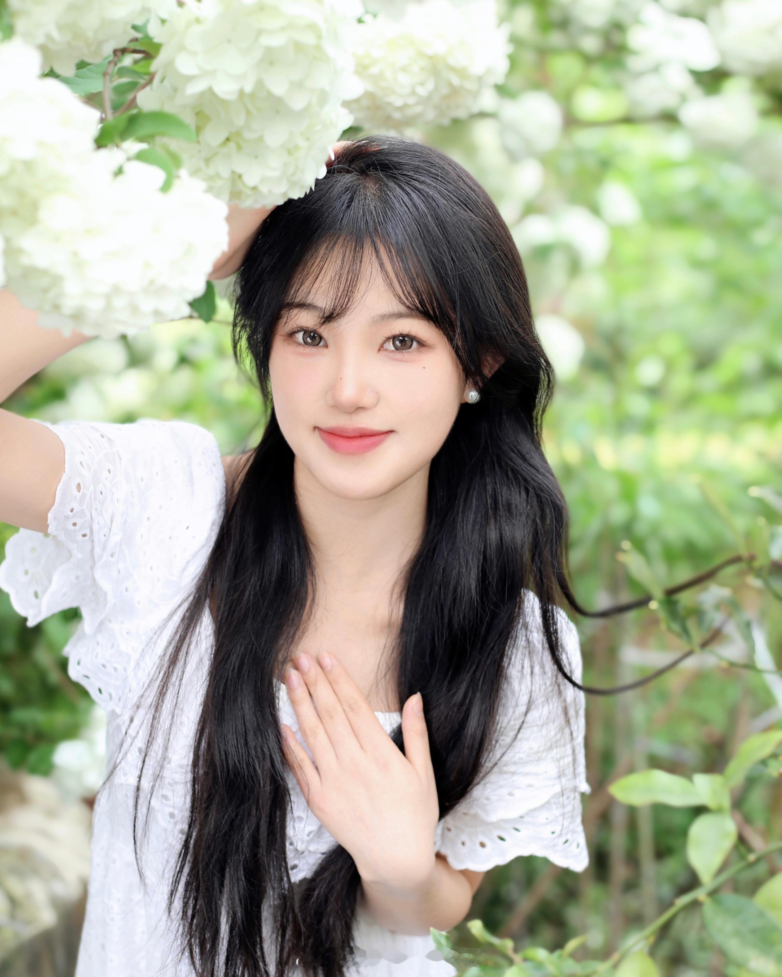 春天的木绣球🍃 ​​​