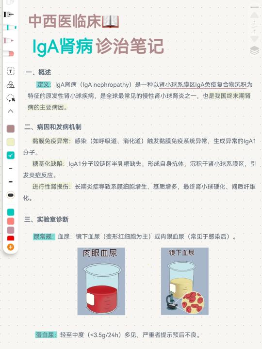 中西医结合临床笔记📖IgA肾病