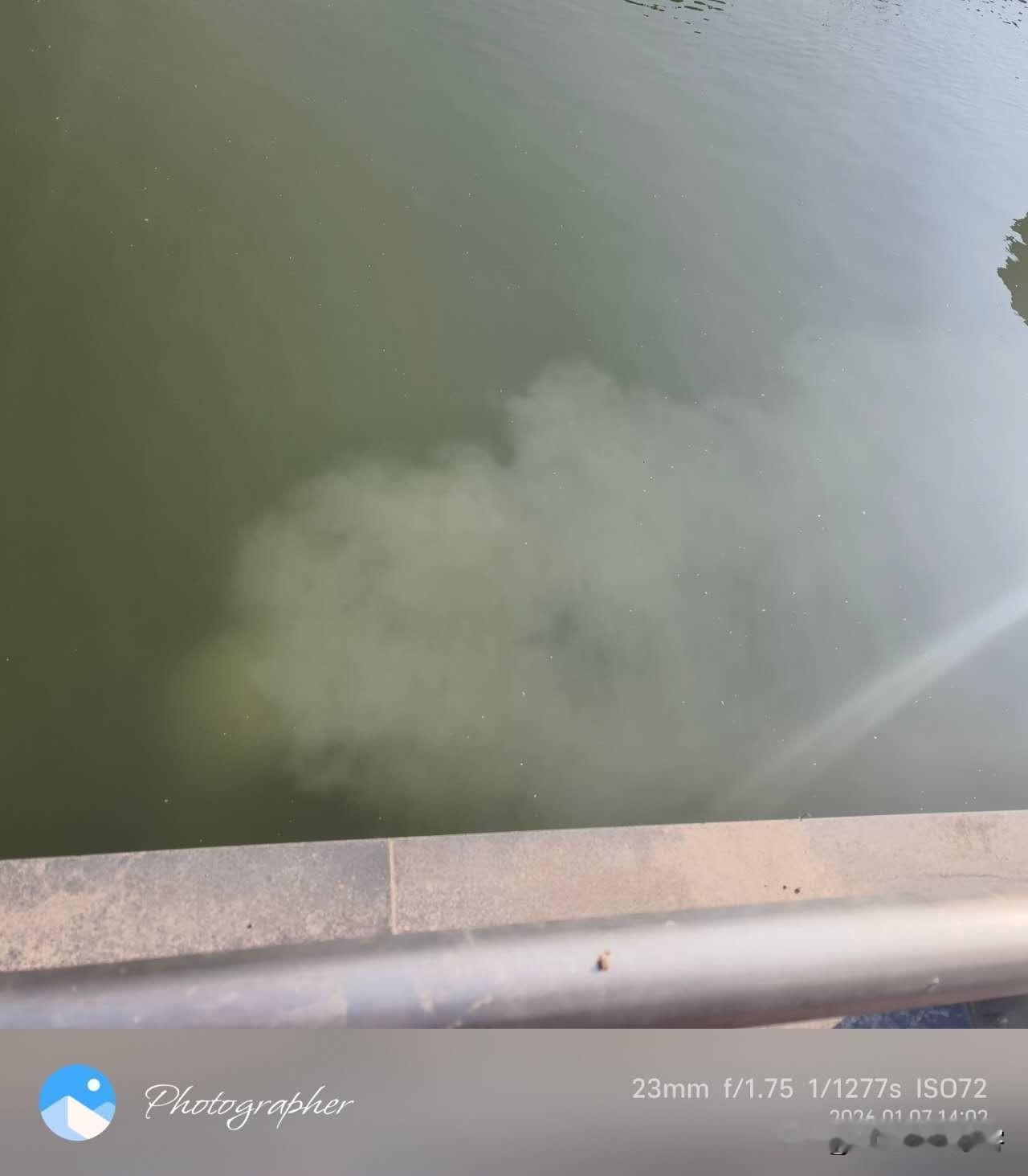 【跃进河东进路缤纷亚洲商圈段：雨污分流下的污水直排之惑】此前，市民通过平台反映了