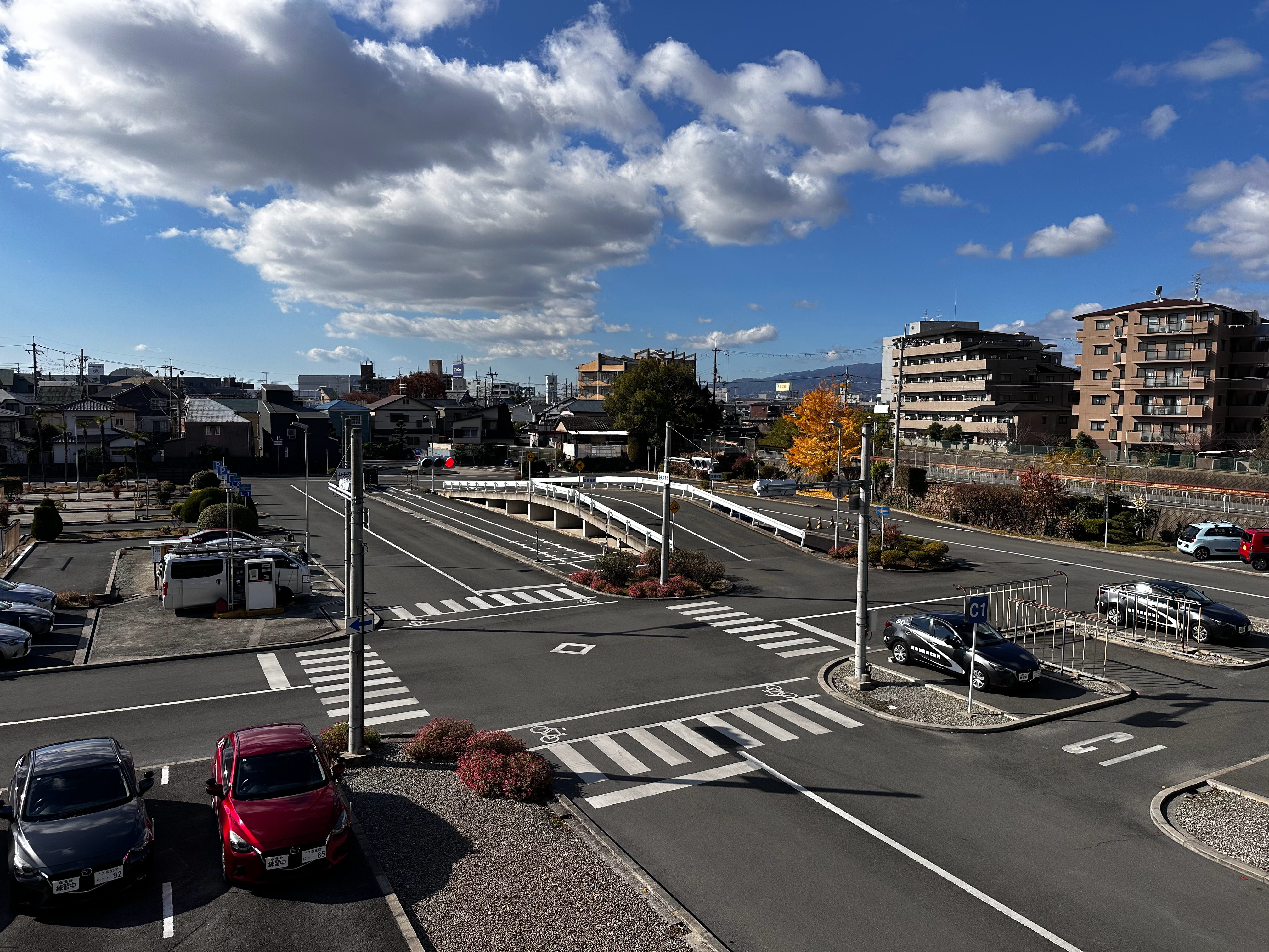 丈夫全程喊刹车妻子仍撞上路人 最吓人的不是事故本身，而是这种水平的人居然还能合法