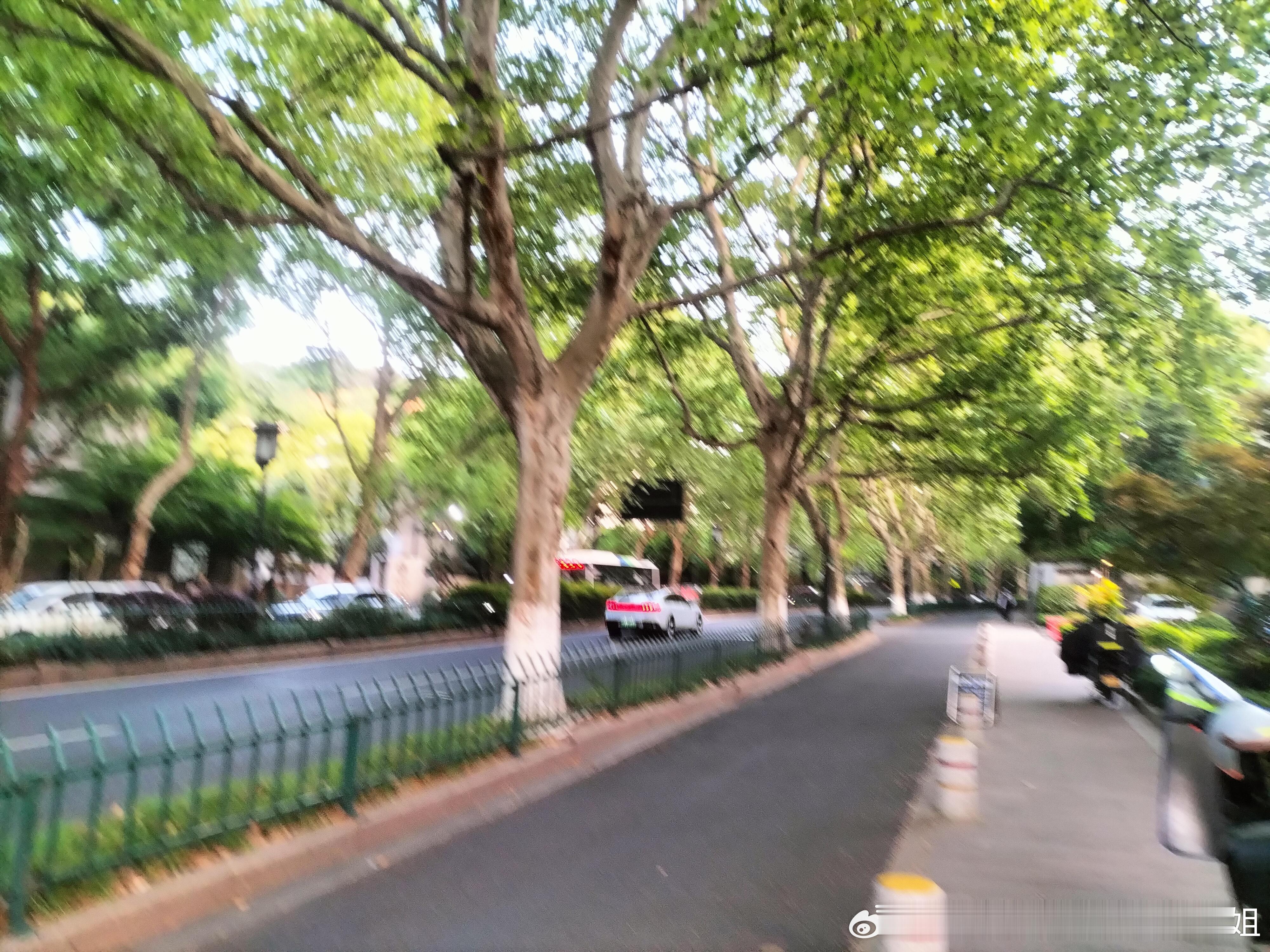 早睡就是人类的作弊器啊昨天骑车2小时逛了一圈回家最后做bus，扛不住 