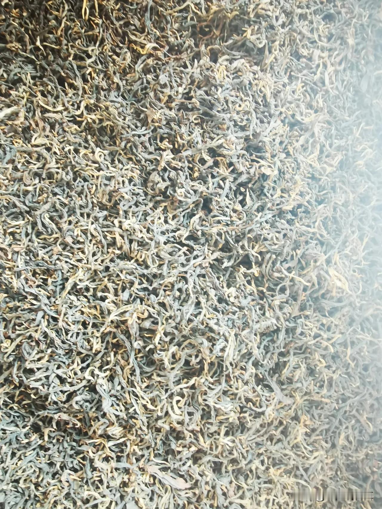 倚邦是我比较喜欢的山头，生普带有浓浓的蜜香，冲泡的时候香气四溢，入口更是甜甜的蜜
