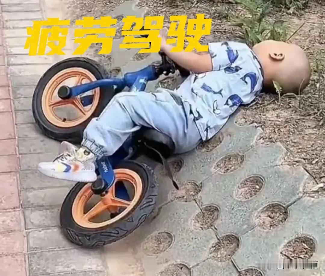 少年骑小轮，笑看人间路。