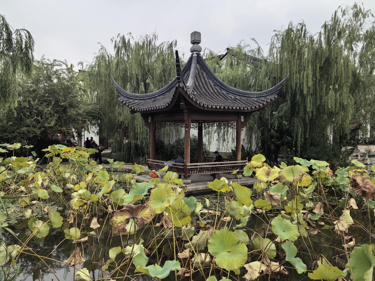 【七律·立冬吟】
时已立冬秋入残，
黄花半落日渐寒。
归鸿梦影杭城外，
晚岫烟舟