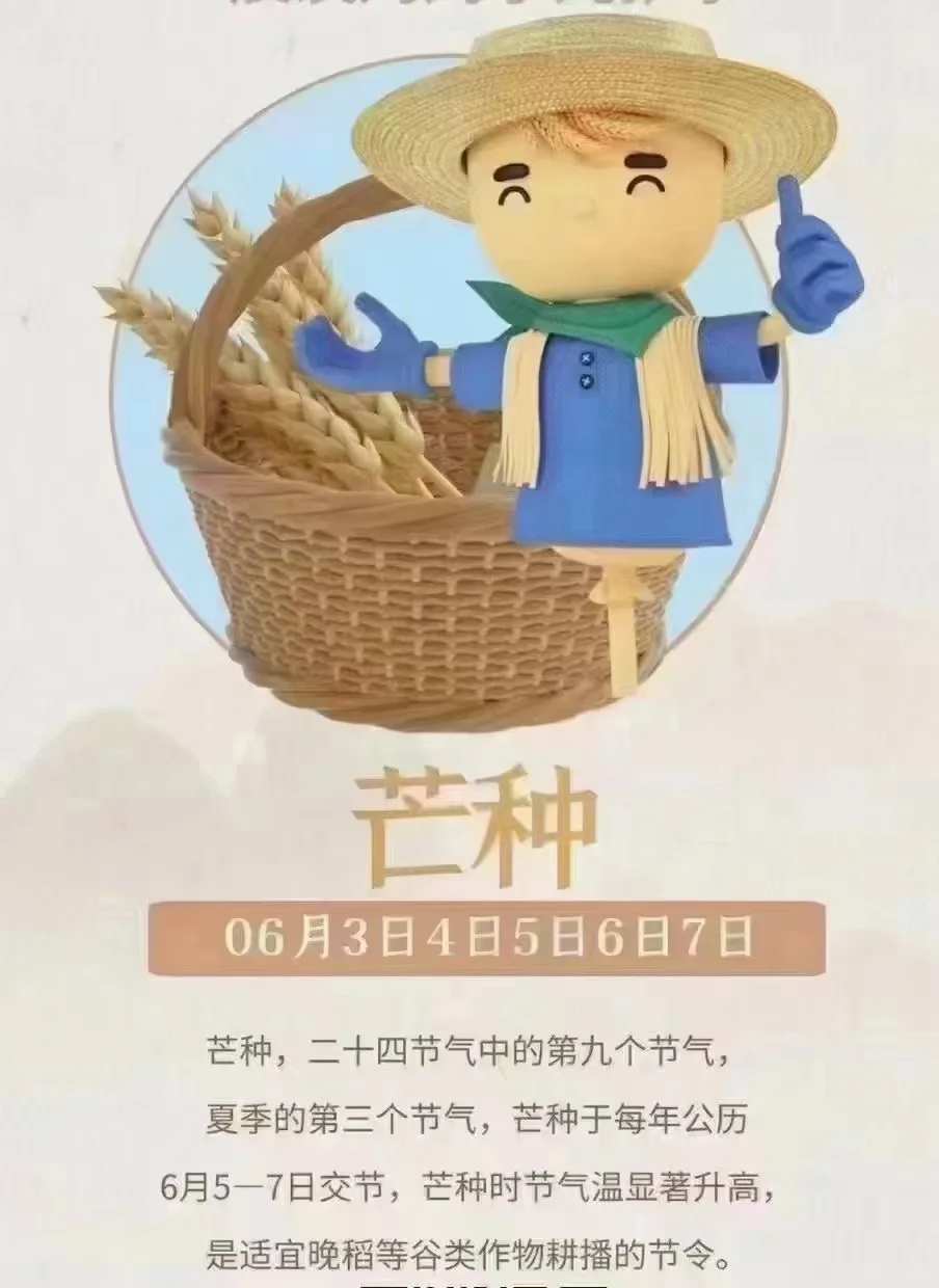 最近发烧的小朋友有明显增多，大多因为贪嘴