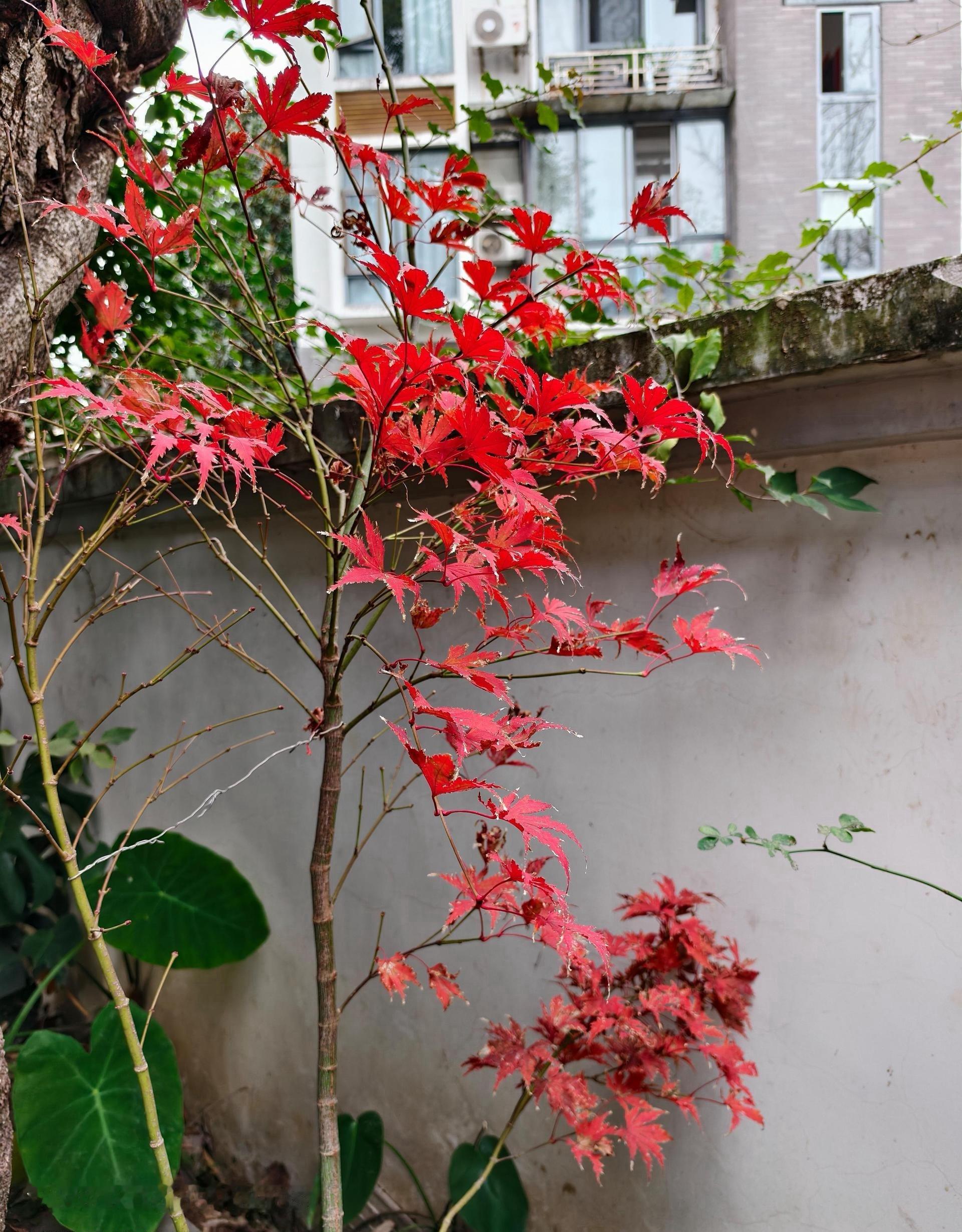 我还是中意金属类，下午再筛选一下个股看看。 