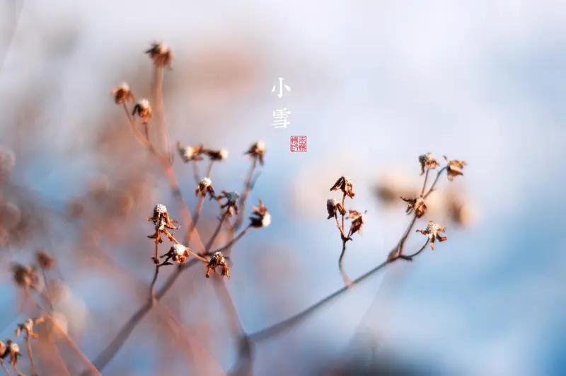 收到好友奈思a的小寒祝福，心中暖意涌动。“天地敛藏，愿你心守暖意，静待春风叩窗”