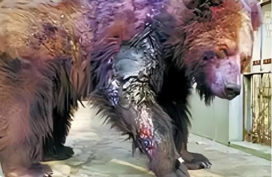 20多年前，22岁清华学生刘海洋，在北京动物园先后用浓硫酸泼伤五只熊，不仅没被制