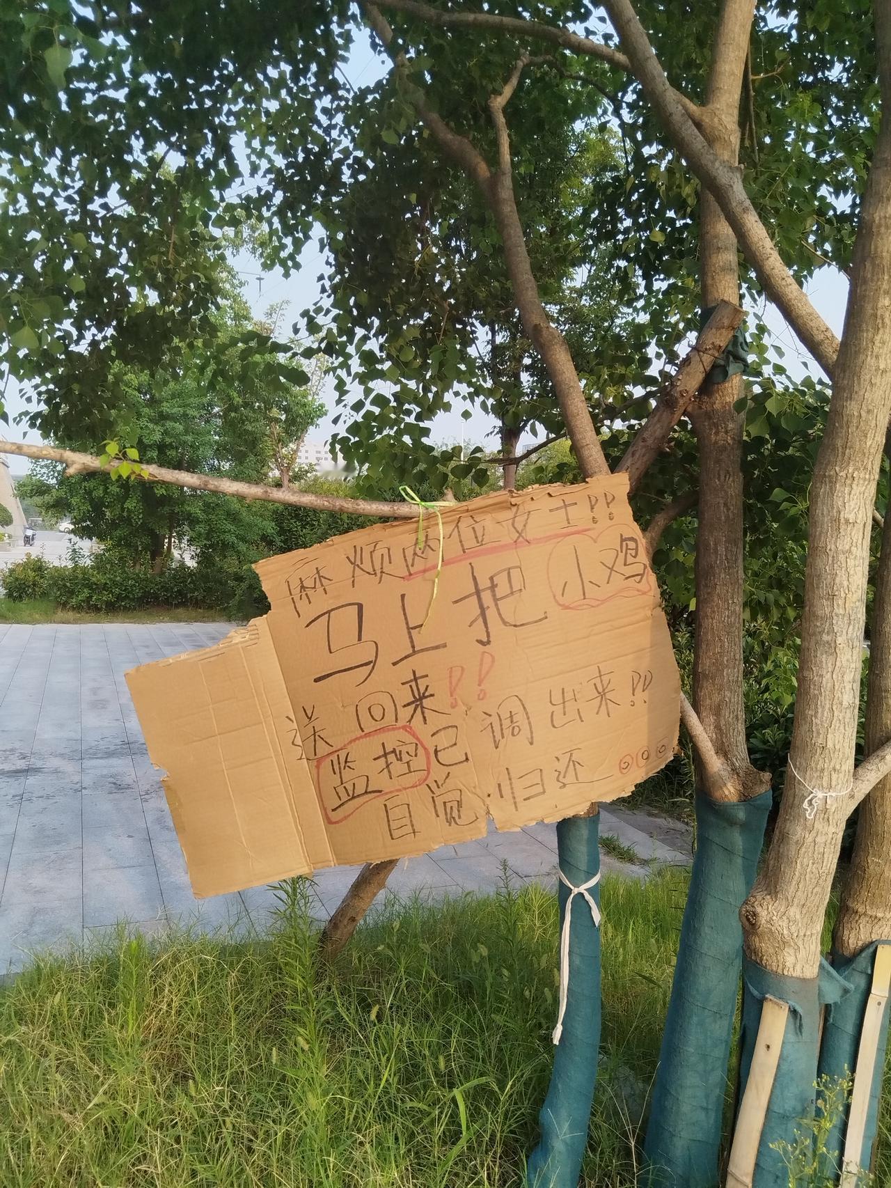 最有创意的“寻物启事”