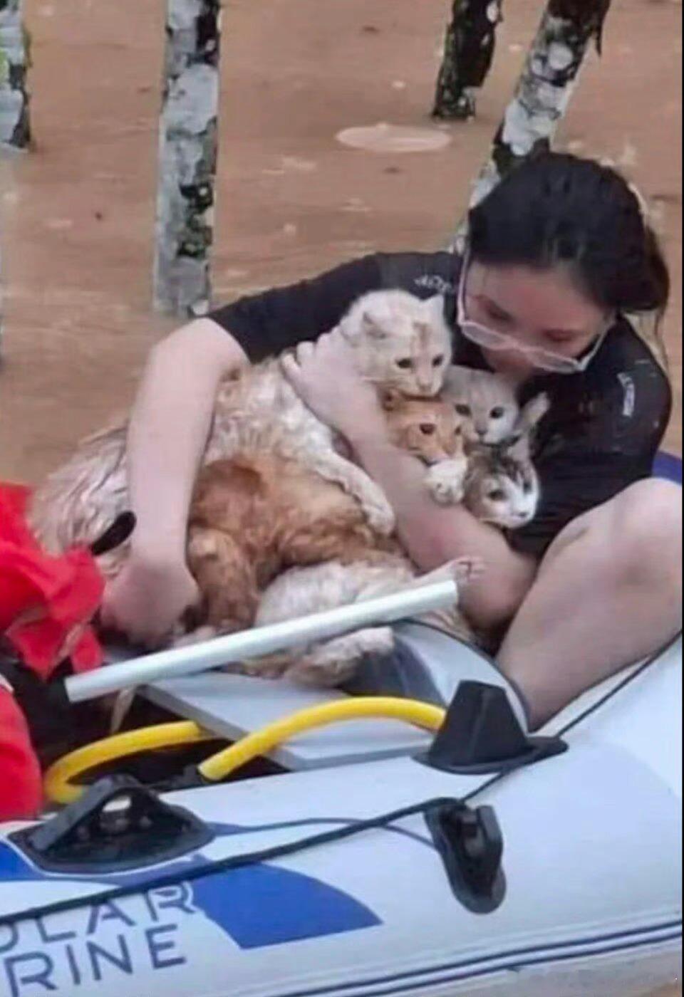 洪水中她抱着全部小猫 好有爱的画面啊小猫你给我陪伴，那遇到危险我也要保护你。