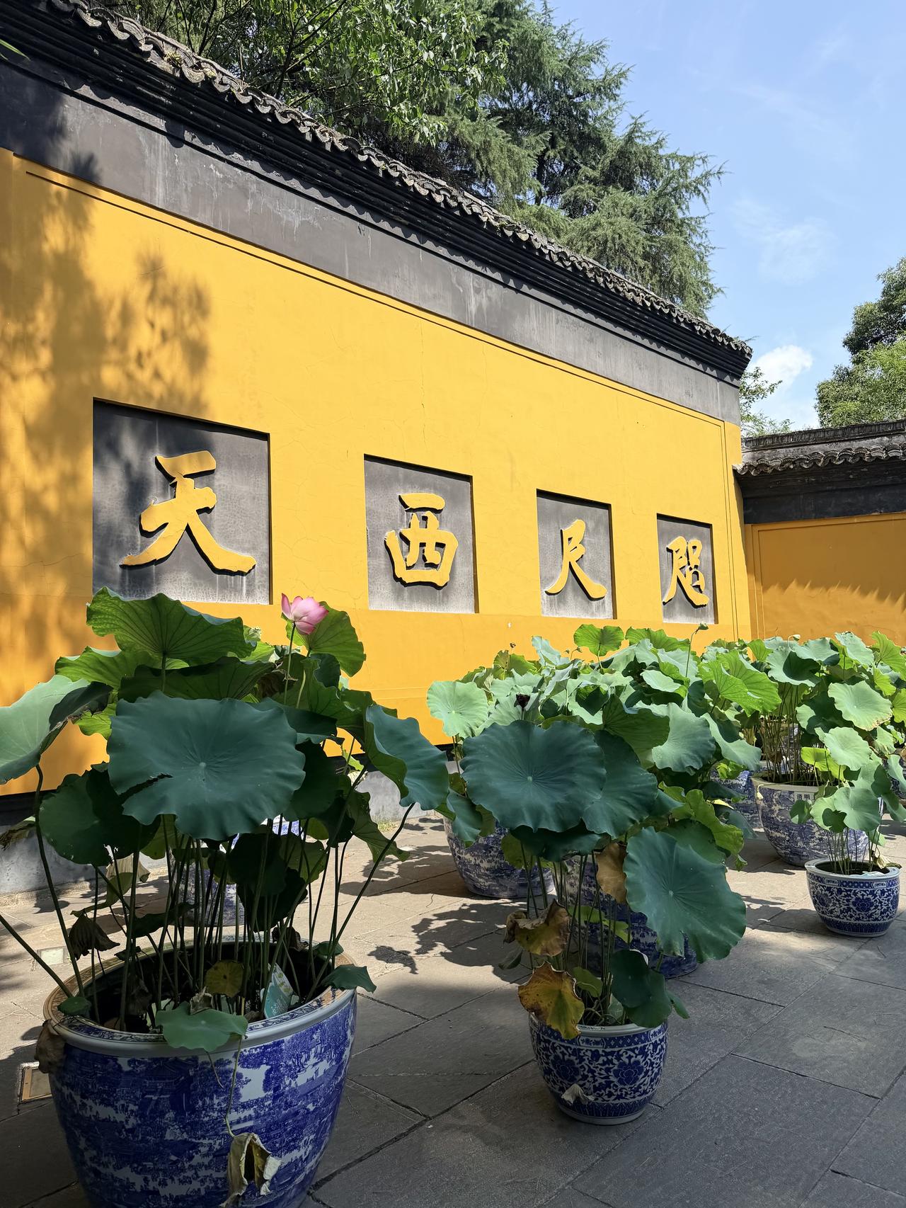 很多人防备的不是人，而是这个人的目的性。即使你条件再好，能力再出众，如果在相处过