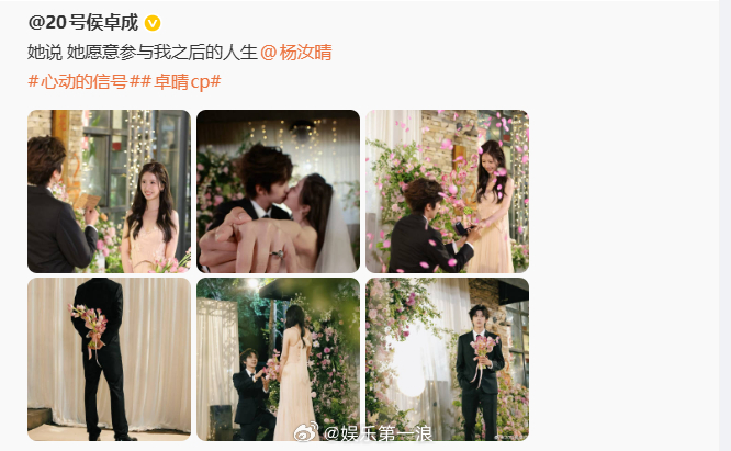 卓晴cp求婚成功