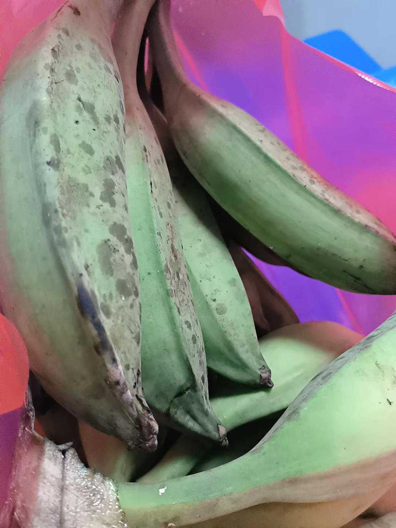 感谢亲爱的美女好友们的投喂！今天他们冒着雨摘龙眼，香蕉，菠萝蜜肉，还有鸡肉，祝你