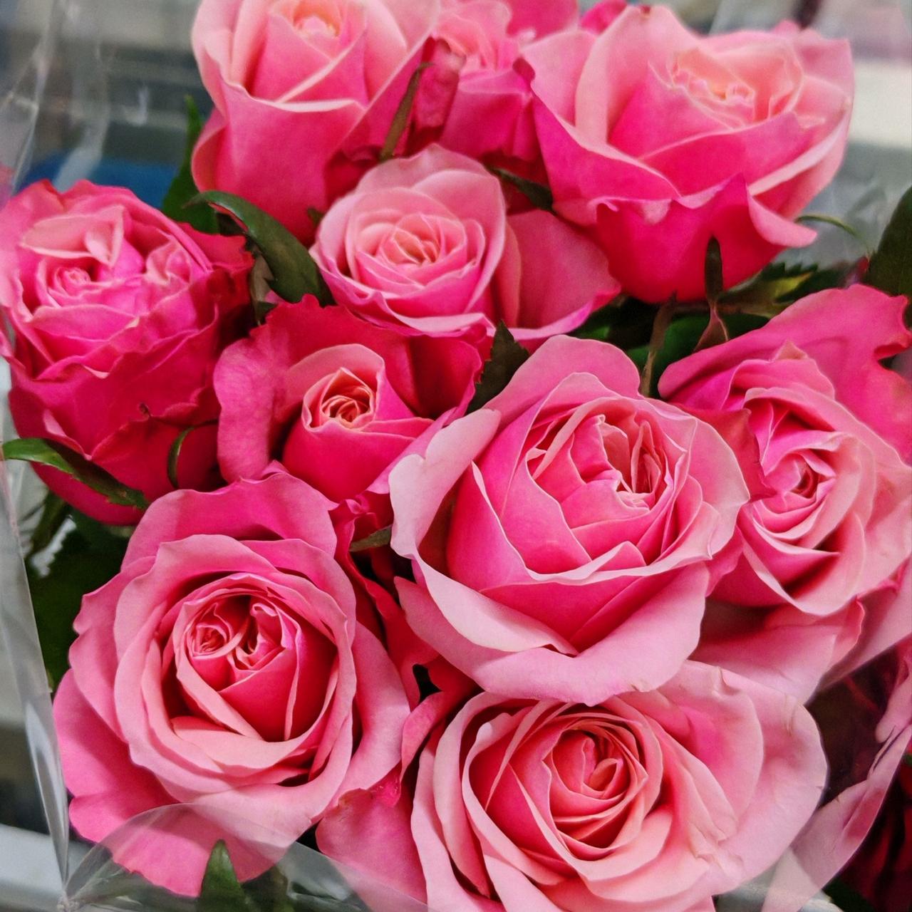 爱分享生活趣事，增进同事间交流使关系更亲近氛围好，有这样的员工，老板做“员工”都