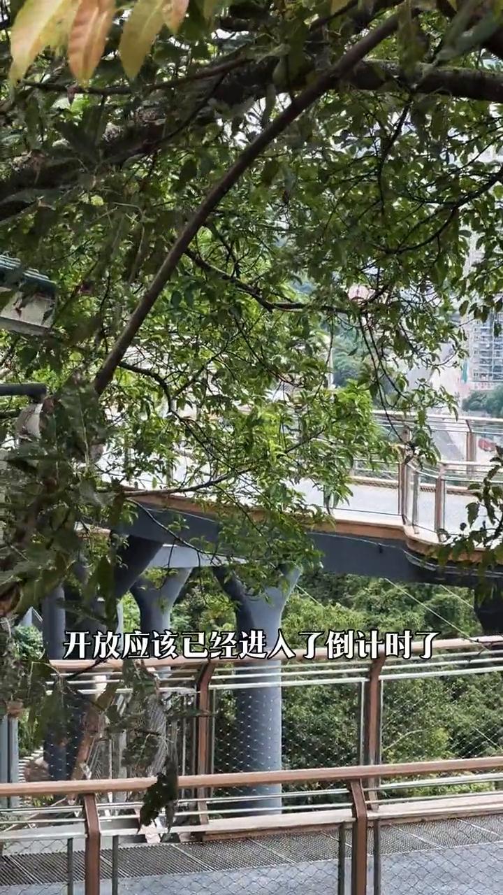 重庆悬崖栈道已装上闸机。
重庆人翘首以盼的网红悬崖栈道安上闸机了，很遗憾，直到十