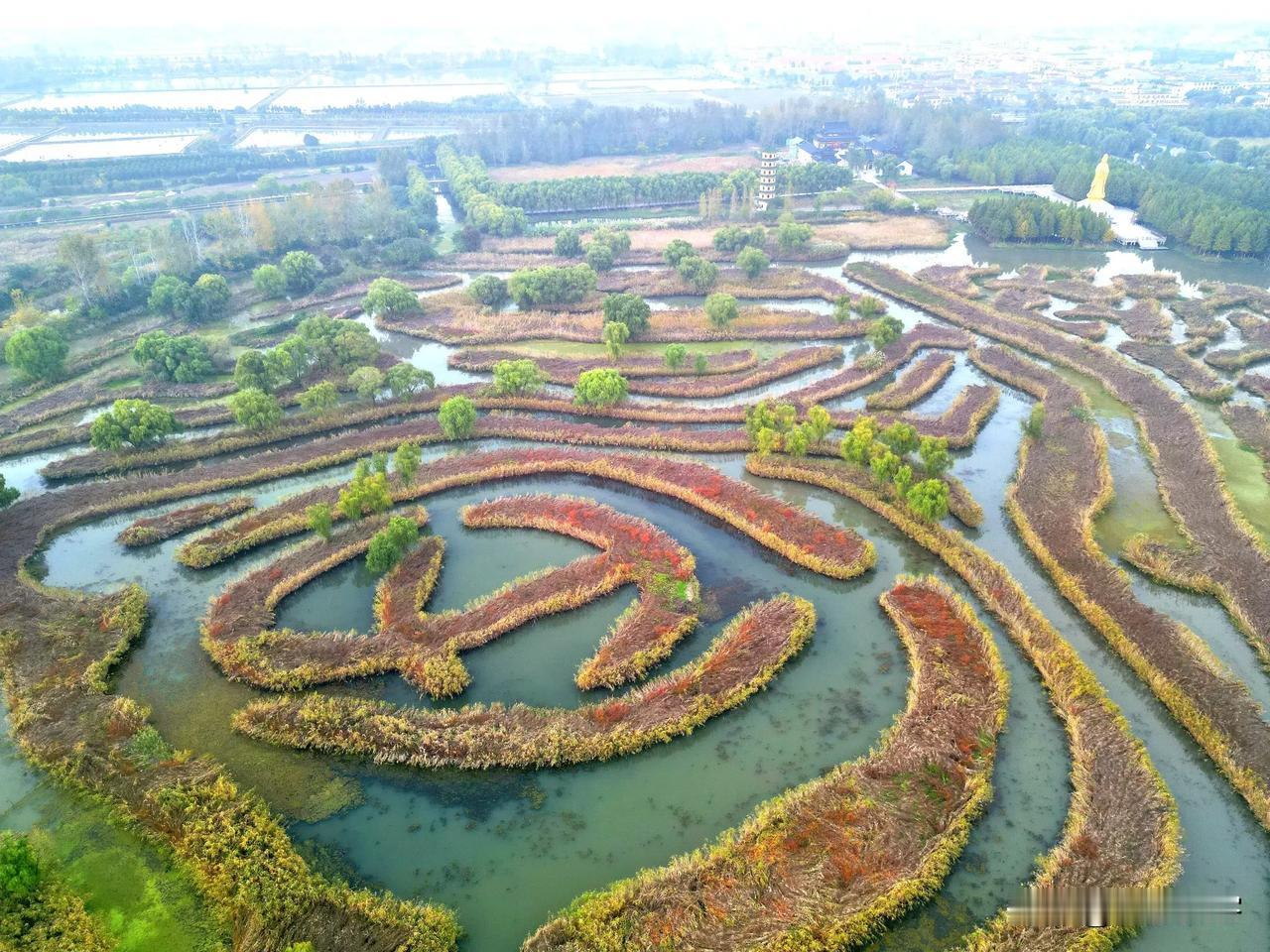 20241102大纵湖芦荡迷宫