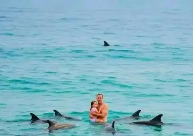 罗布霍伊带着12岁女儿在北岛东海岸练长泳，一条大白鲨从深水区直插过来，离我目测不