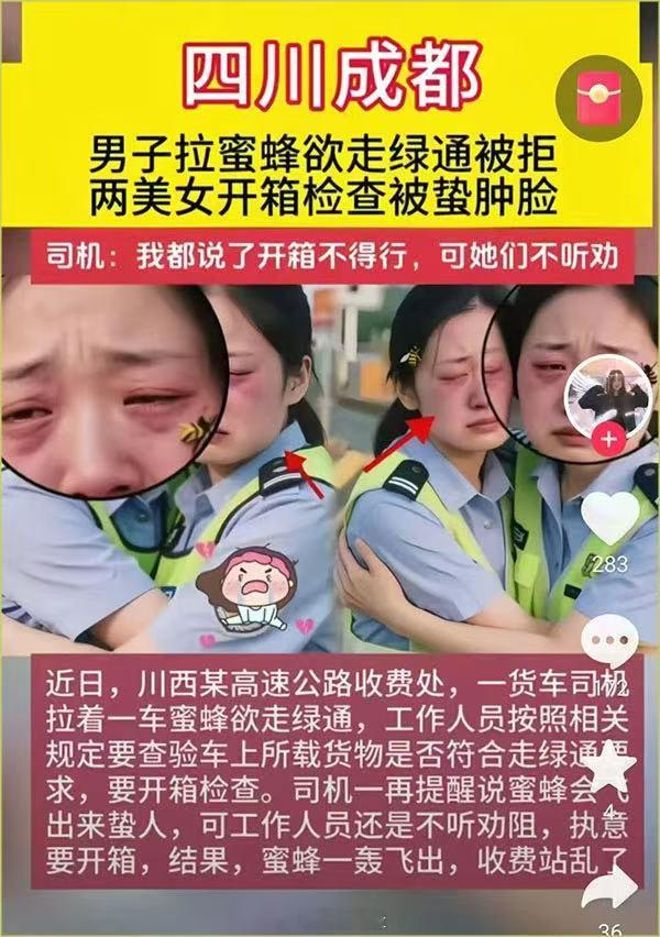 这也是检查员的责任吧！高速收费员检查拉蜜蜂车辆被蛰搞笑 ​​​